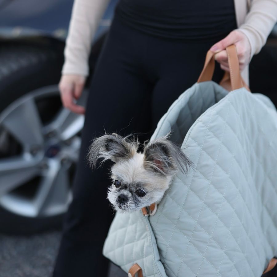 Gray 3-in-1 Pet Carrier
